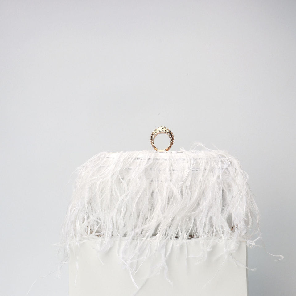 Elegant Ostrich Hair Ring Box – Small Square Bag with Chain Crossbody Shoulder Velvet Evening Clutch Purse, Perfect for Dinner, Casual Outings, Party Events, and Prom Nights