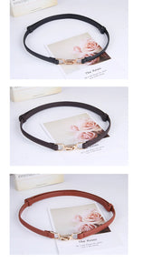 Designer Women's Waist Belt - Fashion Dress Belt