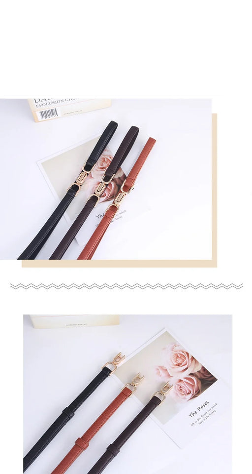 Designer Women's Waist Belt - Fashion Dress Belt